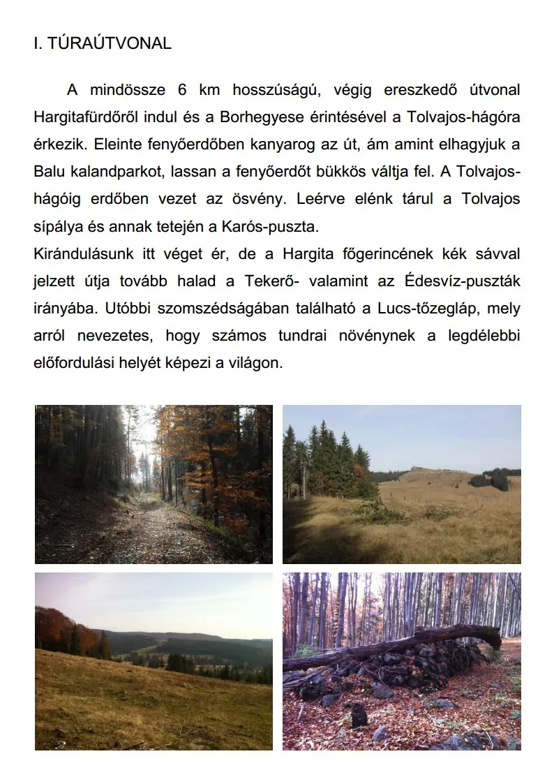 Hargitafürdő, gyalogtúra útvonalak, túraútvonalak